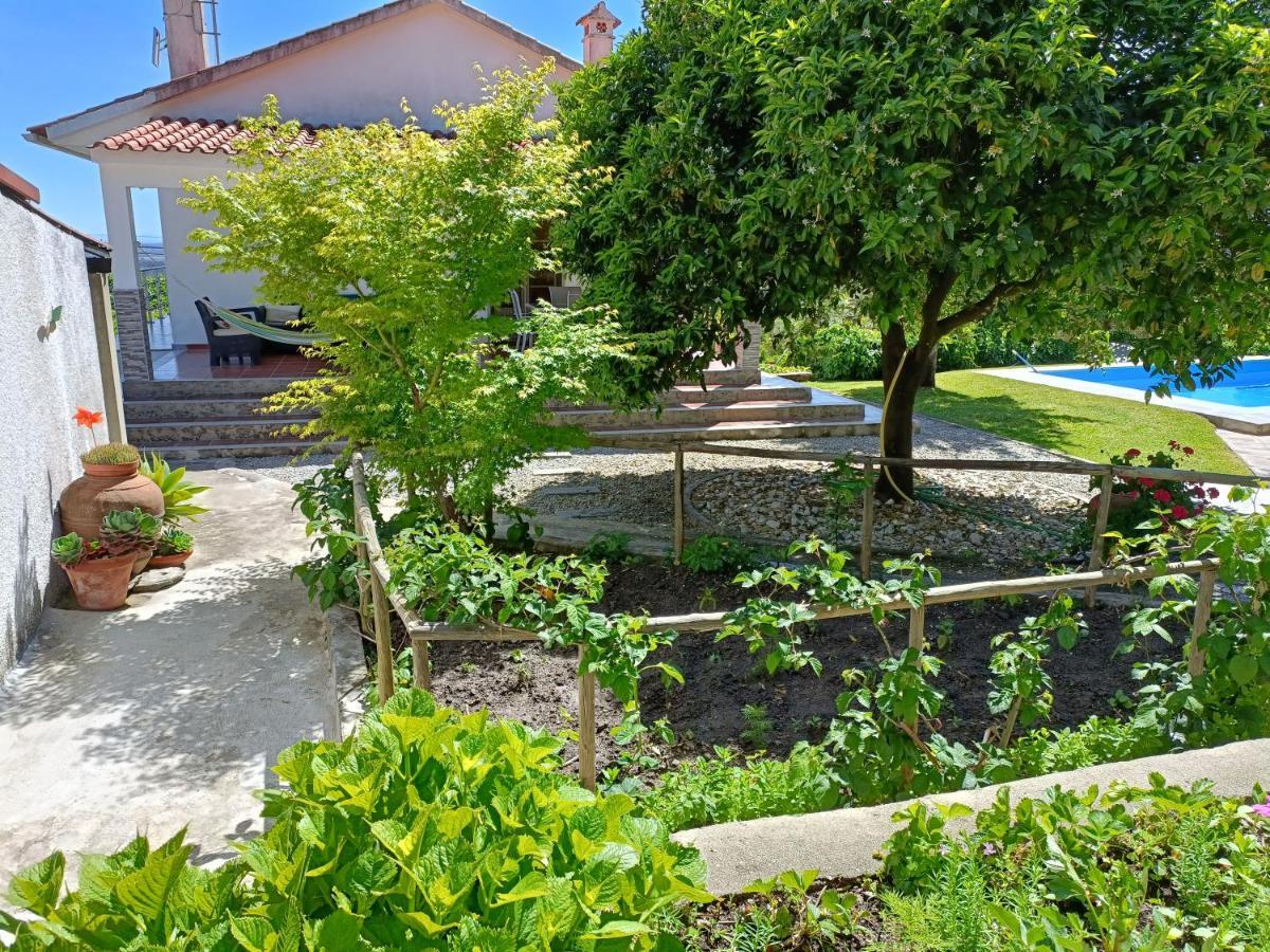 Corticada Casa Da Gardunha别墅 外观 照片